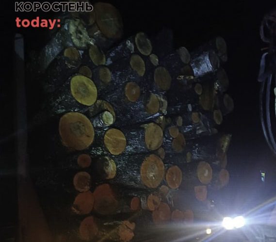 На Житомирщині прикордонники зупинили вантажівку з причепом завантажену деревиною без належних документів