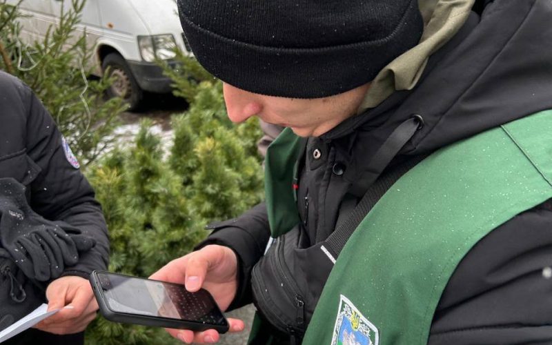На Житомирщині склали понад два десятки протоколів за нелегальну заготівлю ялинок