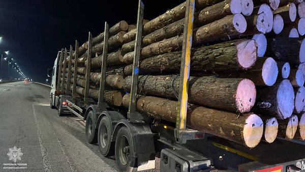 З початку місяця патрульні Житомирщини виявили 4 випадки перевезення та рубки деревини без документів