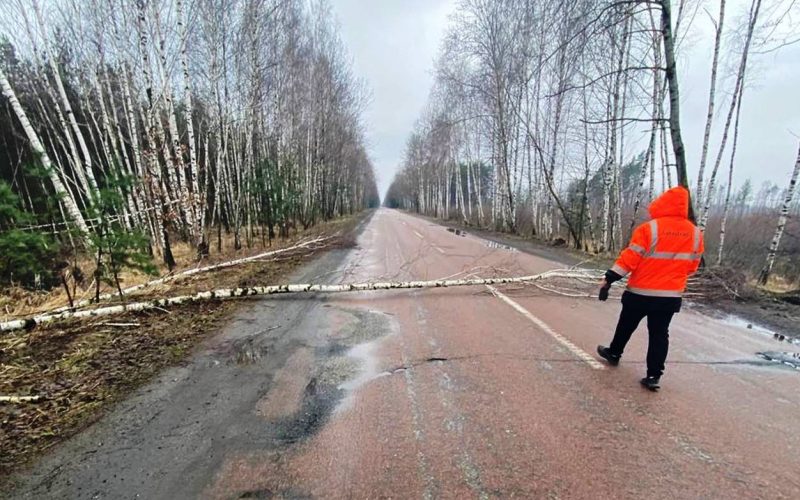 У Житомирській області на дорогах держзначення шляховики латають ями та прибирають
