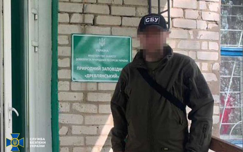 Колишній депутат облради, керівник заповідника в Народицькій громаді, “кришував” незаконну порубку в лісах