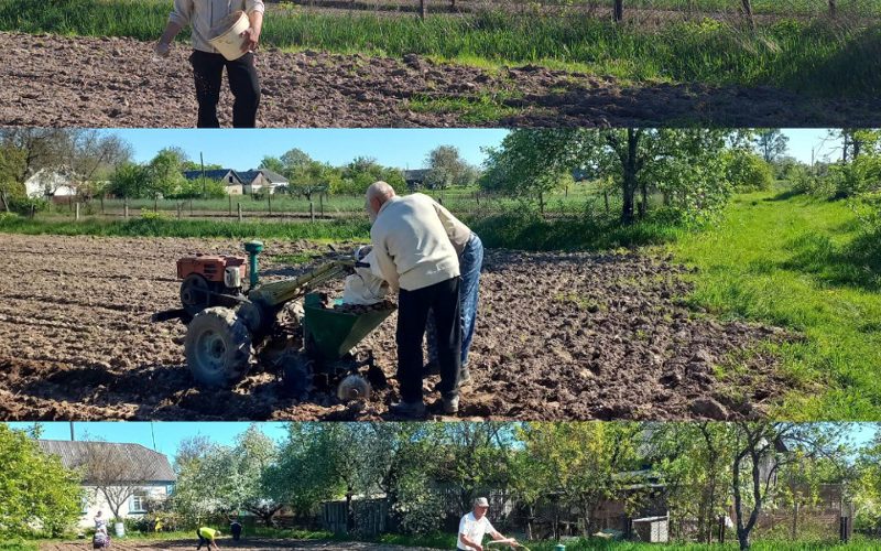 В одному зі старостинських округів Коростенщини показали, як садять “Сади перемоги”
