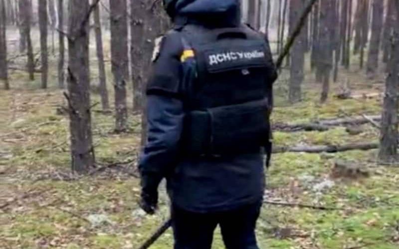 В лісі на Коростенщині люди знайшли касетний боєприпас — його знешкодили рятувальники