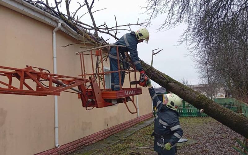 Внаслідок негоди у Коростенському районі дерево впало на дах дитсадка та знеструмлені кілька населених пунктів