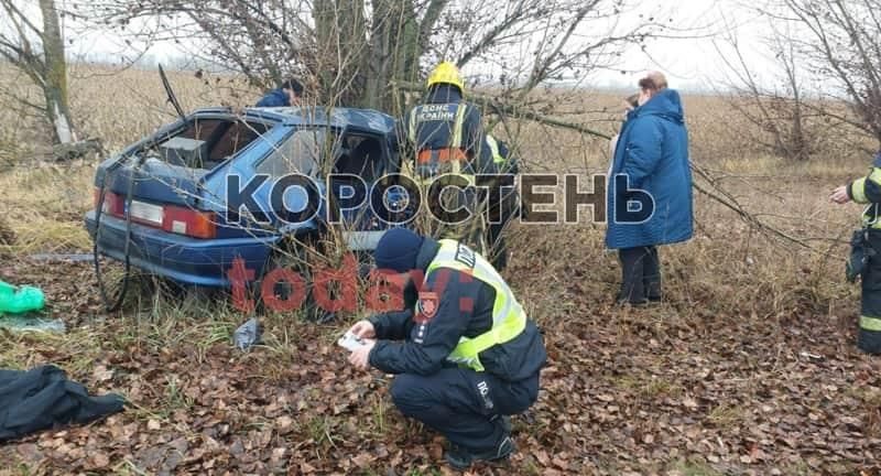 На Малинщині п’яний водій на авто злетів з дороги та врізався в дерево: свідок ДТП викликав необхідні служби