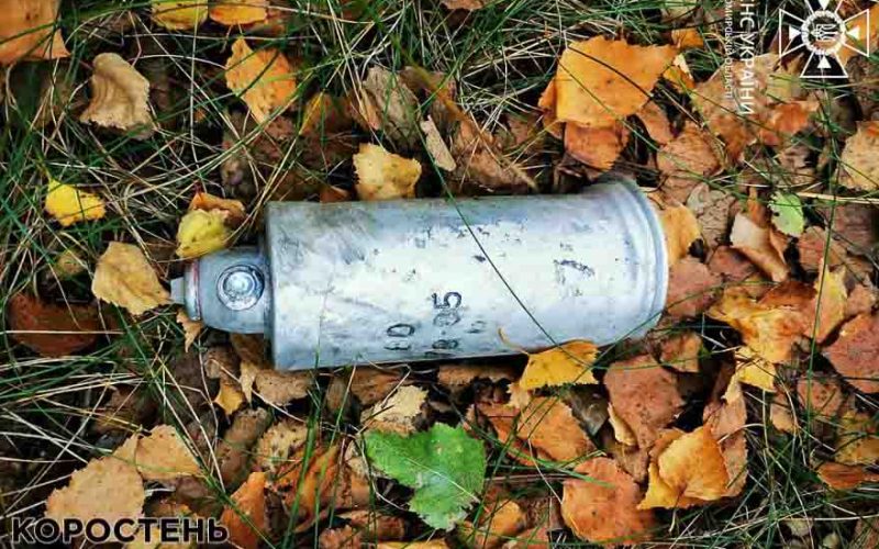 Біля Малина, Ушомира та на території Народицької громади виявлені снаряди й касетний елемент від “Урагану” ?ФОТО
