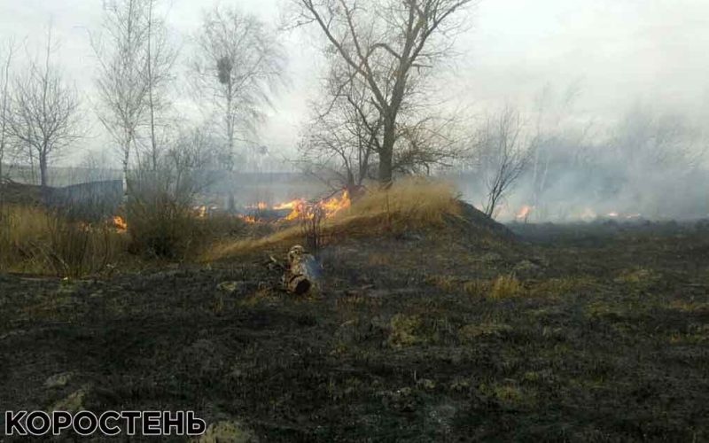 У Коростені через займання сухої трави ледь не згорів житловий будинок ?ФОТО