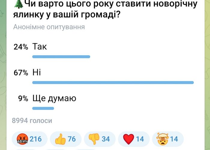 Більшість коростенців проти встановлення новорічної ялинки цьогоріч