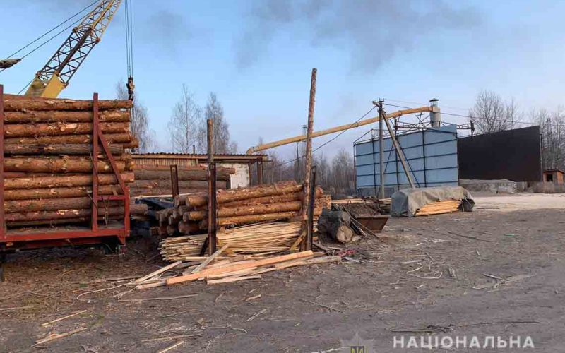 На лісопереробних підприємствах Коростенського району – обшуки ?ФОТО