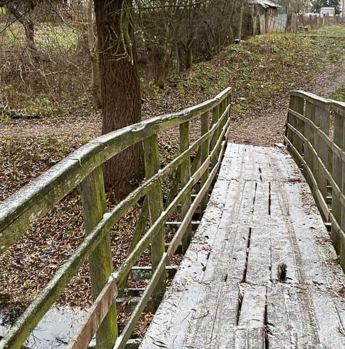 Перший сніг у Коростені ?ФОТОрепортаж